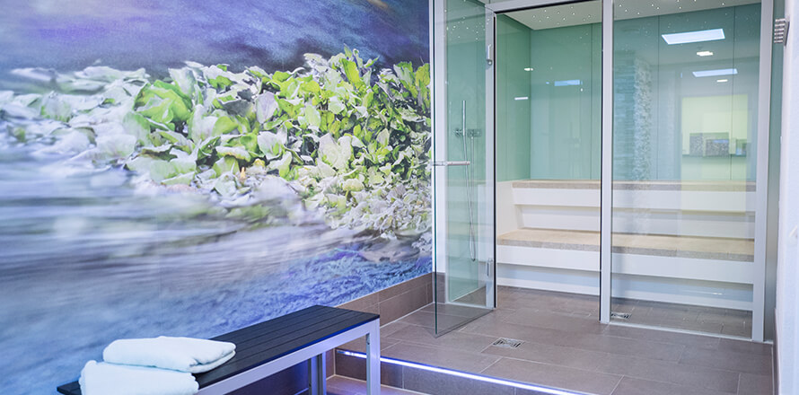 Dampfsauna im Wellnessbereich des Hotel Alexa Bad Mergentheim